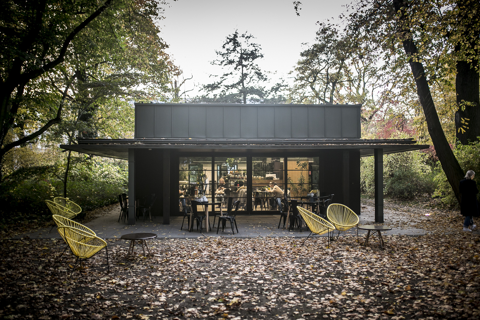A photograph showing a single-storey building in a park, with fallen autumn leaves around it. Deck-chairs in front of the pavilion.