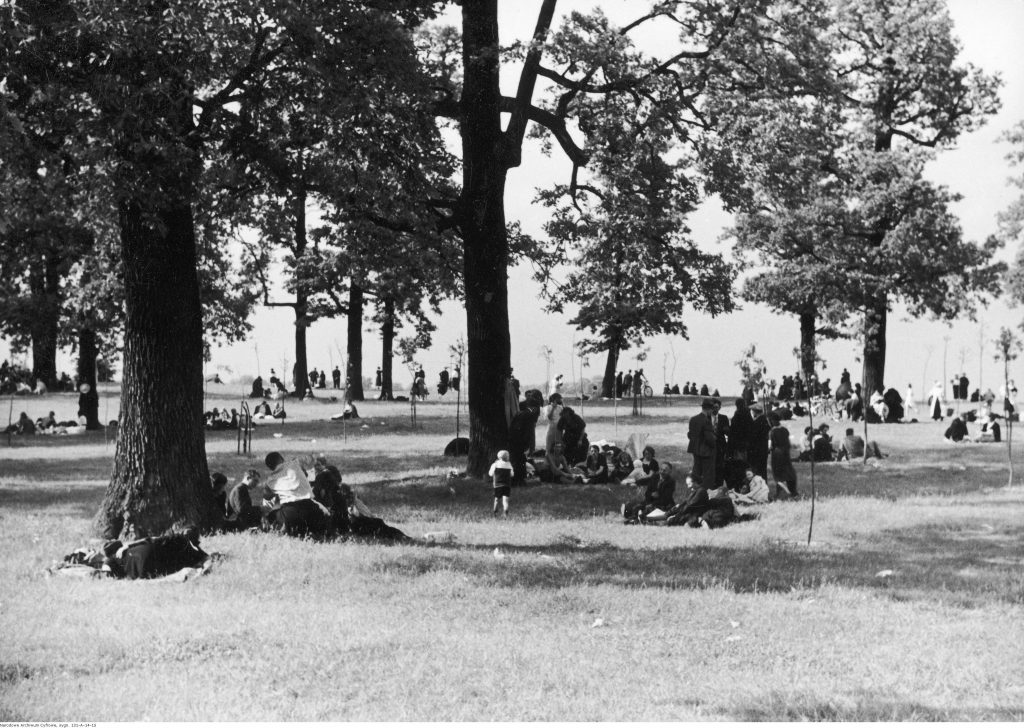 na trawie, wśród drzew, porozkładane kocyki, na nich przesiadują grupki ludzi