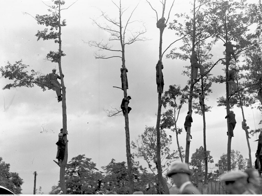 kibice sportowi siedzą przytuleni do drzew, obserwując z wysoka mecz piłki nożnej
