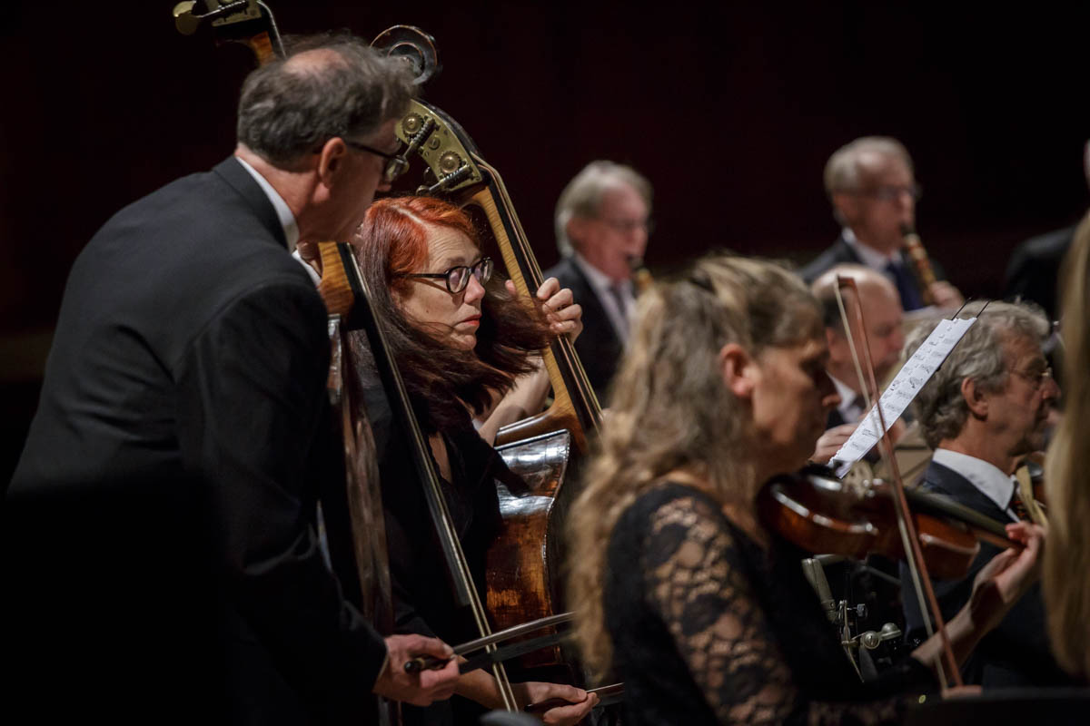 orkiestra w czasie koncertu