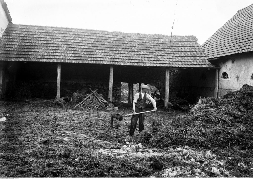 Prace w gospodarstwie we wsi Bolechowice (1933), fot. Narodowe Archiwum Cyfrowe