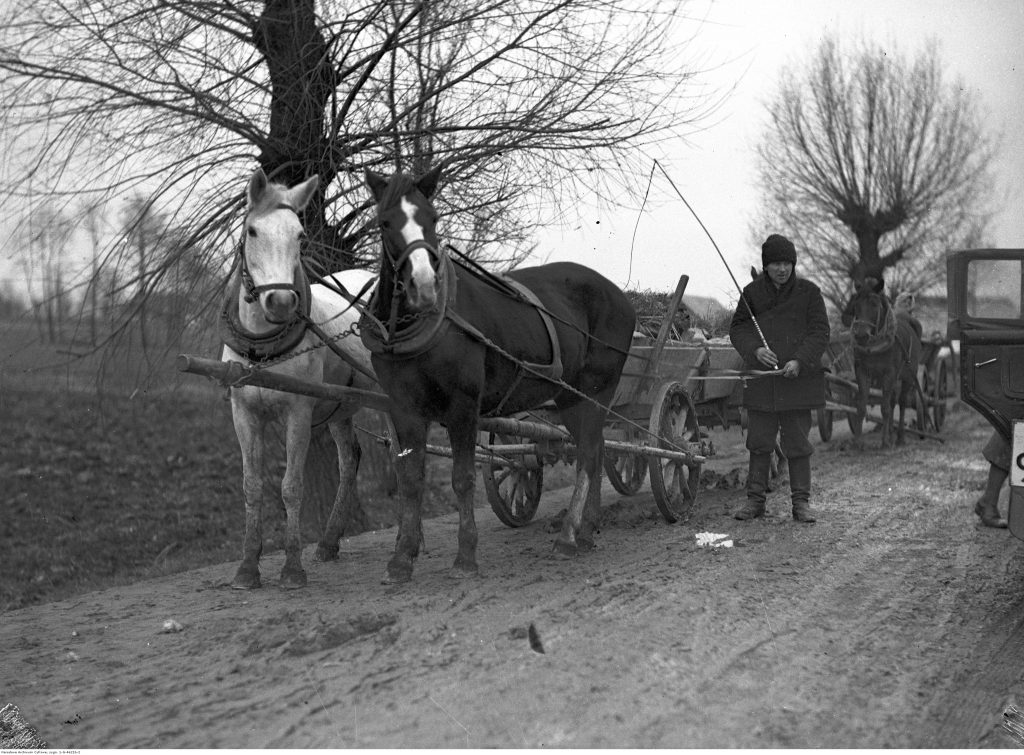 Furmanki konne na drodze (1934), fot. Narodowe Archiwum Cyfrowe