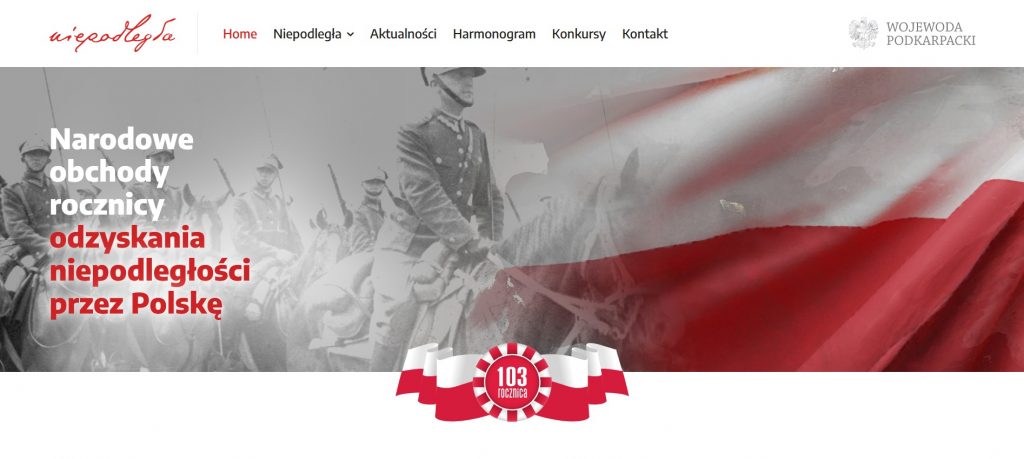 screen ze strony internetowej z grafiką przewodnią