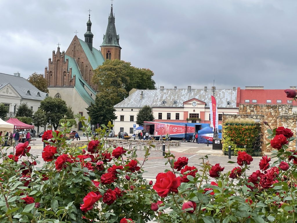 Wirtualny Teatr rozstawiony na rynku w Olkuszu, po lewej katedra, na pierwszym planie róże