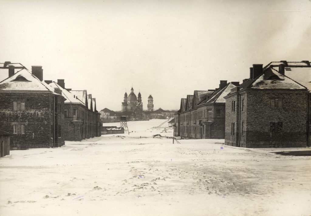 plac budowy z wzniesionymi już domkami