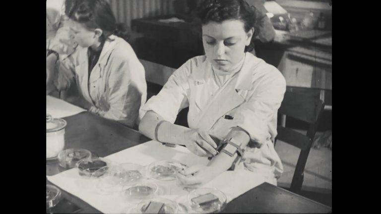 dwie kobiety przy stole, jedna coś mocuje w uprzęży na przedramieniu